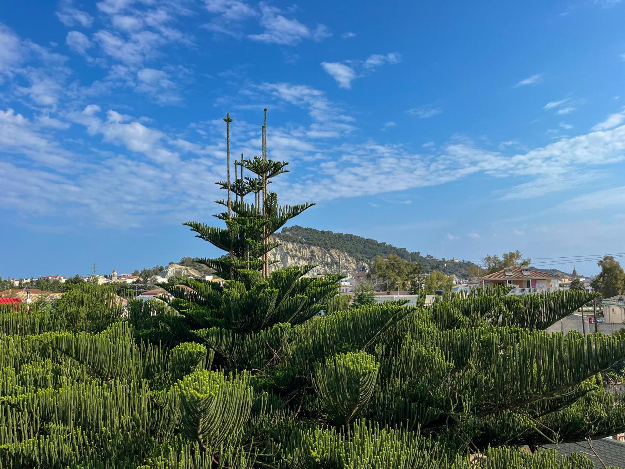 Pettas Apartments Zakynthos Exterior foto